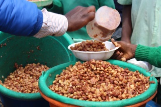 2015 - Kenya - Beans 