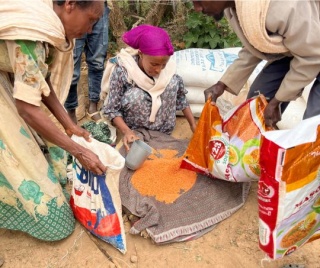 grain being poured